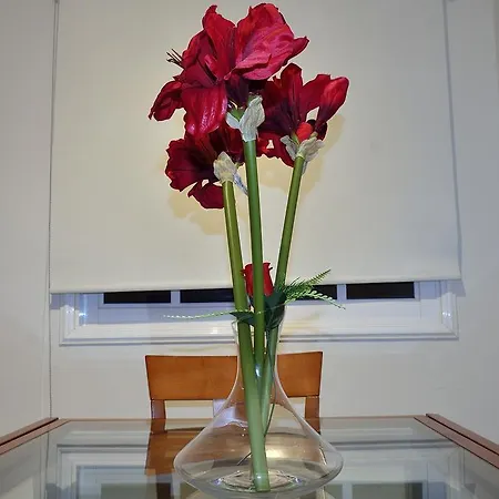 Apartamento Garcilaso De La Vega * Santa-Cruz de Ténérife